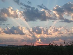 Příroda nedaleko apartmánu