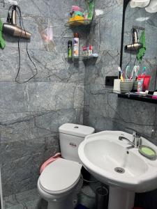 un bagno con un water e un lavandino di Green Field Cottage,Chakvi a Batumi Altre 14 foto