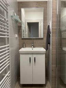 Vannituba majutusasutuses Apartmán Hojsova Stráž