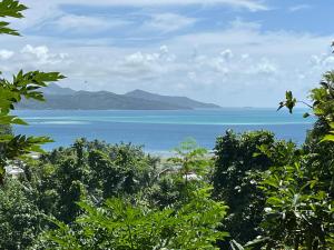 a view of the ocean from a hill with trees at Maison en bois in Uturoa