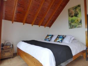 Afbeelding uit fotogalerij van Canario Acogedora Cabaña con Jacuzzi in Acacías