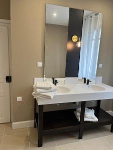 a bathroom with a sink and a large mirror at Appartement Quartier Jardin Public in Parthenay