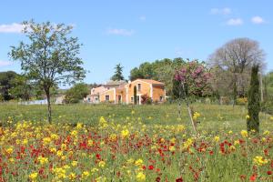 un campo de flores frente a una casa en Maison Abricot et Orange, en Aspiran
