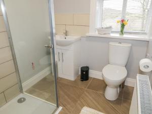 a bathroom with a toilet and a sink and a shower at Ballard Cottage Annexe in Newry +10 photos