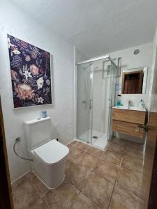 a bathroom with a toilet and a shower and a sink at CASA RURAL con BONITAS VISTAS in Teror +23 photos