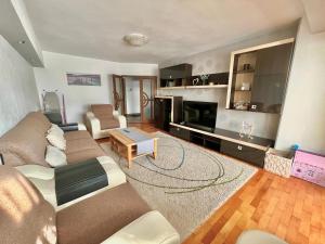 a living room with a couch and a tv at Valcea Northside Spacious Apartment in Râmnicu Vâlcea
