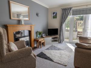 a living room with a fireplace and a television at Rosemarie Annexe in Axminster