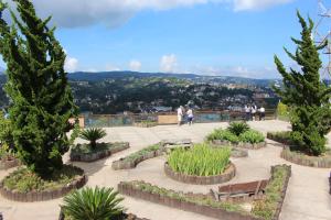 a view of a garden with trees and plants at Pousada Serrano in Campos do Jordão
