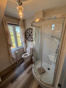 a bathroom with a shower and a toilet at Maison sur la plage in Chambord +90 photos