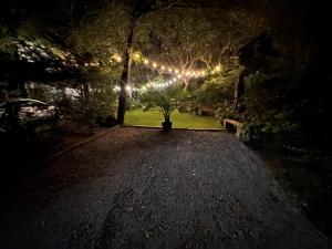 a garden at night with a string of lights at Higher Altitude | Cozy Downstairs Apt. Close to the Beach in Surf City, NC in Sloop Point