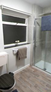 a bathroom with a shower and a toilet and a window at Y Fedw Wen in Bont Newydd
