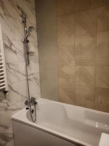 Ένα μπάνιο στο Sika Amazon Premium Apartment- private parking