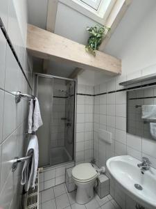 a bathroom with a shower and a toilet and a sink at Cozy loft with a view, central, close to tradefair in Düsseldorf