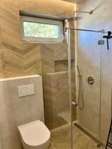 a bathroom with a shower with a toilet and a window at Strefa Natur dom z jacuzzi na wyłączność in Matyty +24 photos