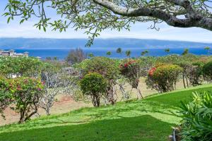 a view of a garden with flowers and trees at Kapalua Ridge Villa 2712 in Kapalua