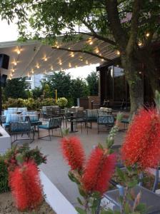 A garden outside Philippos Xenia Hotel