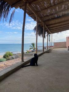 Fotografie z fotogalerie ubytování Balance Surf & Yoga Hotel v destinaci San Antonio