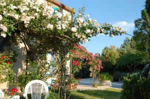 Vonkajšia záhrada v ubytovaní B&B Vento di Rose