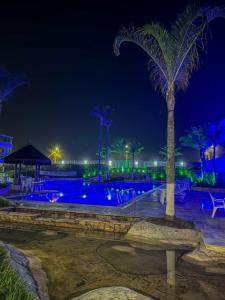 una palma in un parco di notte di Resort na Praia do Recreio a Rio de Janeiro