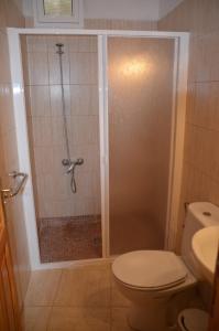 a bathroom with a shower with a toilet and a sink at Apartamentos Arure Plaza in Arure