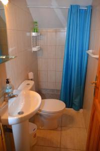 baño con aseo y cortina de ducha azul en Apartamentos Arure Plaza, en Arure