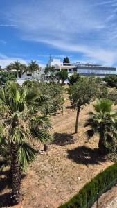 un grupo de árboles en un campo con un edificio en Dominión Park Apartamento, en Cala del Moral