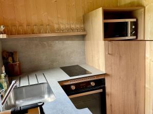 a small kitchen with a stove and a microwave at Chalet atypique plein de charme avec garage et balcon, idéal pour familles - FR-1-761-33 in Villard-de-Lans
