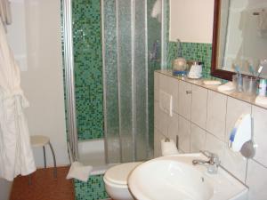 a bathroom with a shower and a sink and a toilet at Hotel Flower Power in Hehlen