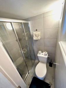 a small bathroom with a shower and a toilet at Central Comfort Studio in Larnaca