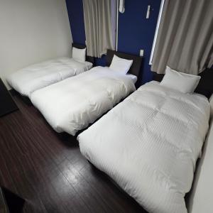 Postel nebo postele na pokoji v ubytování Ace Inn Asakusa