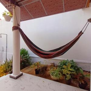 a hammock in a room with plants at Salty Palm Villa in Arugam Bay
