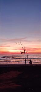 Peisaj natural din apropierea acestei pensiuni +12 fotografii