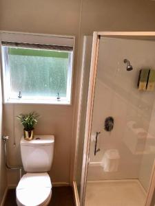 Ένα μπάνιο στο Christchurch Motel +31 φωτογραφίες