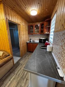 a kitchen with a counter top and wooden walls at Sunny Faház in Poroszló