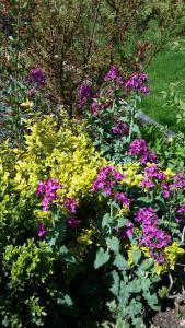 Ein Garten an der Unterkunft Ferienwohnung Linde