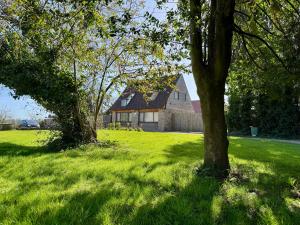 two trees in a field with a house at Severn View Barn in Thornbury