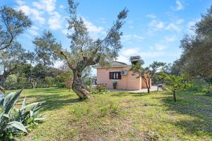 Zahrada ubytování A & G House Lefkada