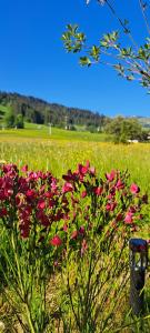 Un paisaje natural cerca de la casa vacacional