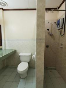 a bathroom with a toilet and a shower at OYO 89972 Borneo Paradise Beach Hotel in Kota Kinabalu