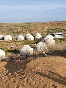 a group of tents in a field with a bus at GOLDEN Safari YURT CAMP in Elʼtay