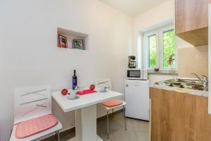 Kuchyňa alebo kuchynka v ubytovaní Studio apartman u kući s bazenom