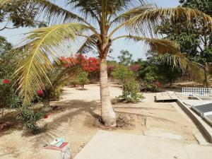 Φωτογραφία από το άλμπουμ του Villa Nianing Confort et Détente σε Nianing