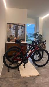 Jazda na bicykli v okolí ubytovania JASALPI único apartamento delante del Lago de Banyoles