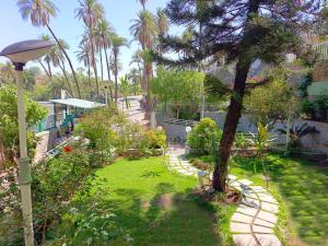 Zahrada ubytování Hari Niwas - A Boutique Garden Resort Mount Abu