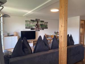 Televízia a/alebo spoločenská miestnosť v ubytovaní Haus Kampl - Appartement Grundlsee