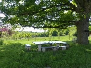 a picnic table under a tree in a field at Maison de campagne in Touchay
