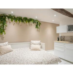 a bedroom with a bed with a plant on the wall at Centre ville - Proche Théatre - Martelly in Grasse