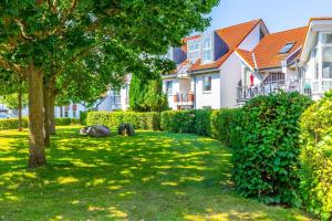 a house with a tree in a yard at Sünnslag 103 - "Ferienhaus Ostseezauber" - 4 Zimmer, im Herzen Boltenhagens in Boltenhagen