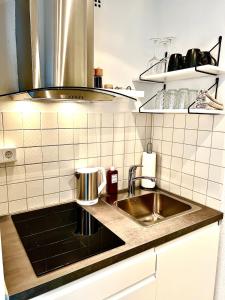 Kuchyň nebo kuchyňský kout v ubytování City-Apartment mit Rheinblick