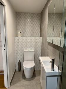 un baño con inodoro y lavabo en Wanaka Matai Studio, en Wanaka